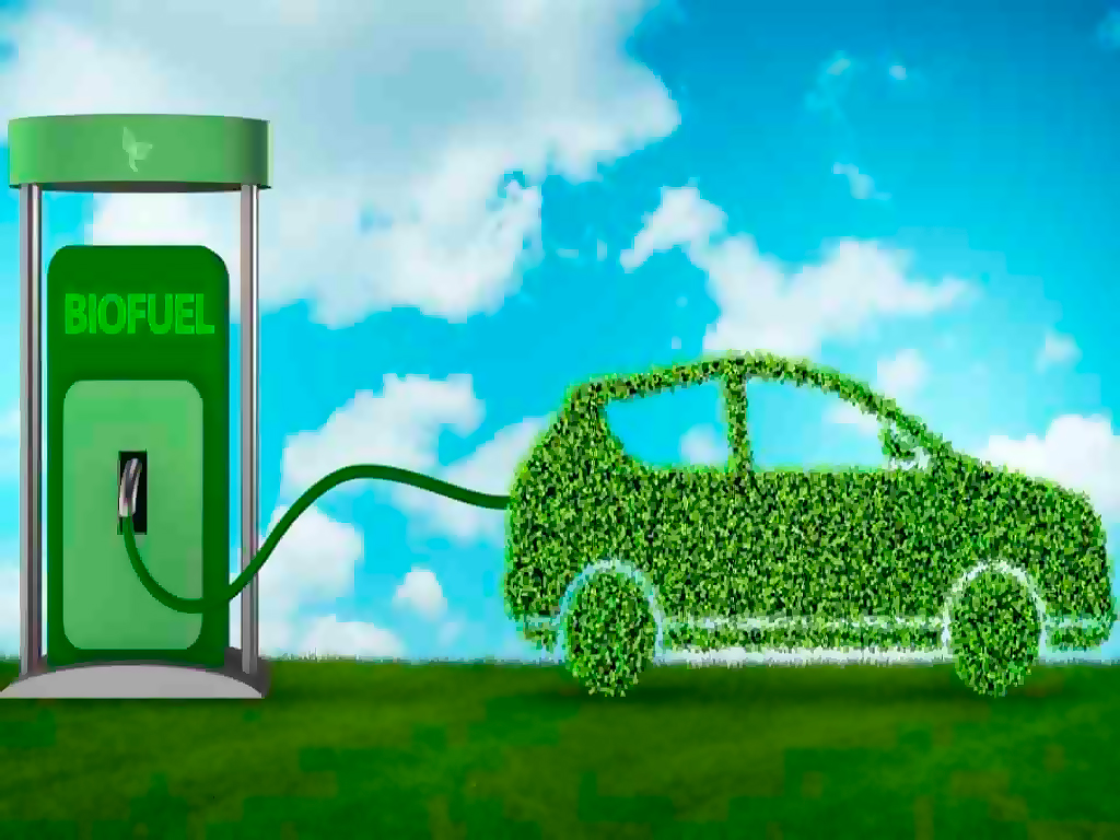 Исследование: Сможет ли биотопливо заменить бензин для автомобилей