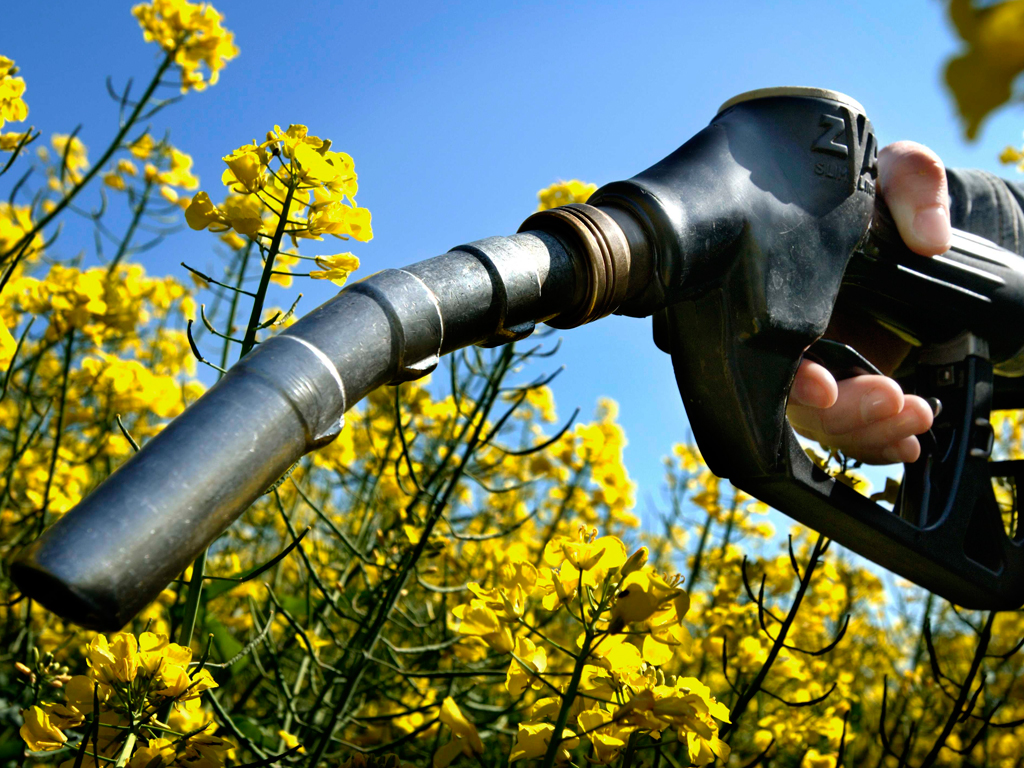 Биодизель - что это такое, как использовать, оборудование, производство, виды сырья