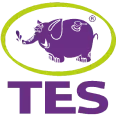 TES