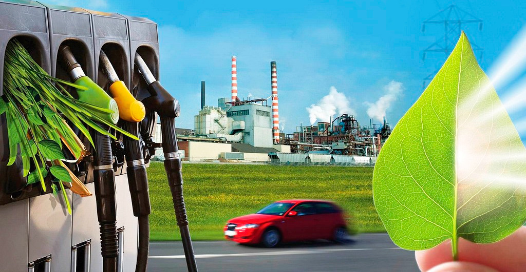 Перспективы бензина: биотопливо