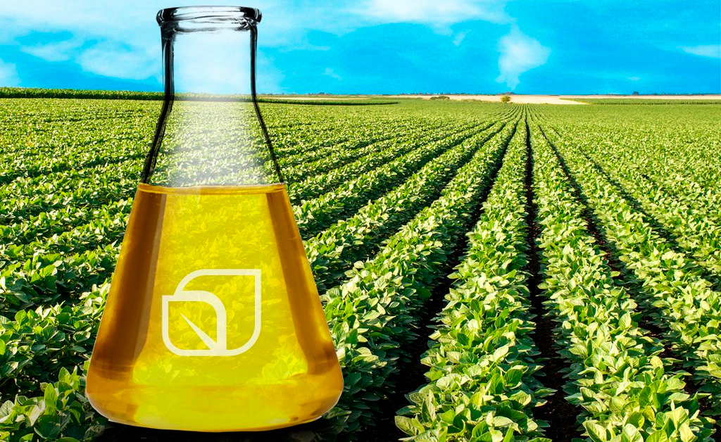 Биодизель: рапсовое масло