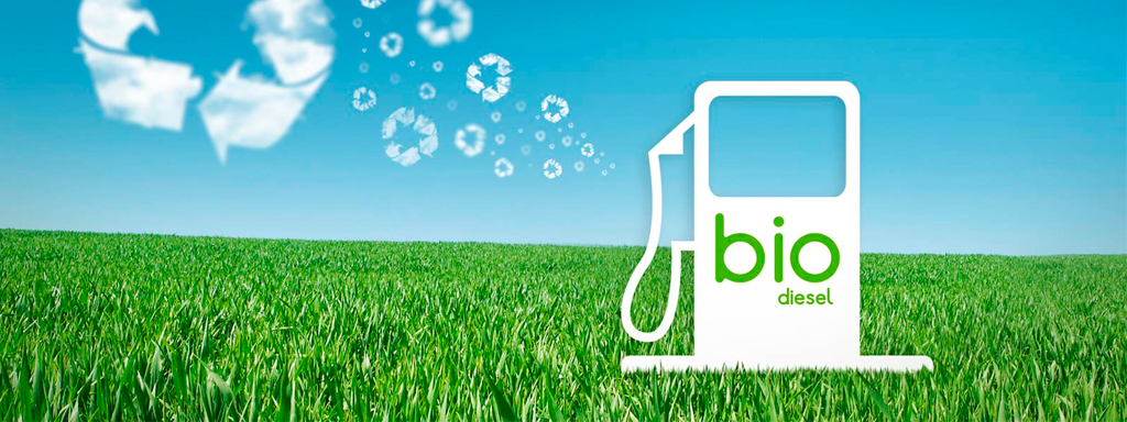 Как использовать биодизель